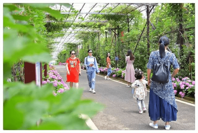 ������̩�A��@�C���w�(xi��ng)Ŀ